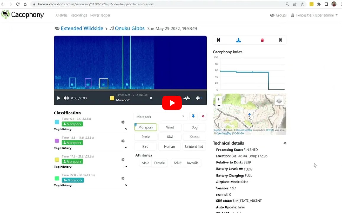 Video showing how to tag bird recordings